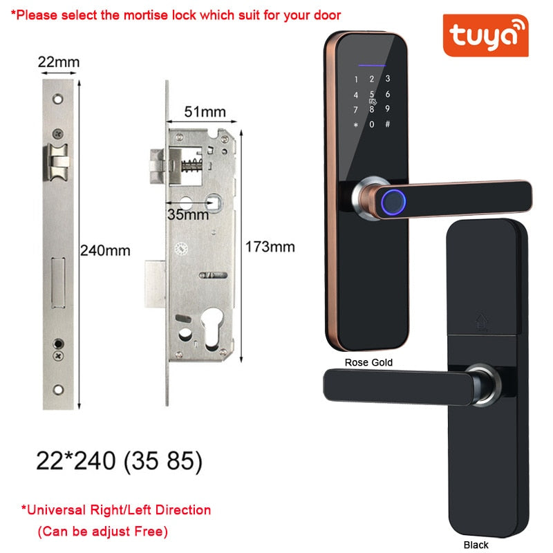 Electronic Smart Door Lock With Biometric Access