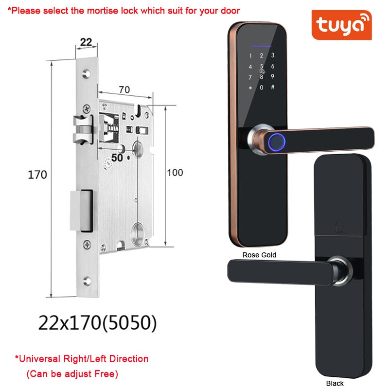 Electronic Smart Door Lock With Biometric Access