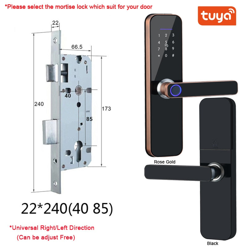 Electronic Smart Door Lock With Biometric Access