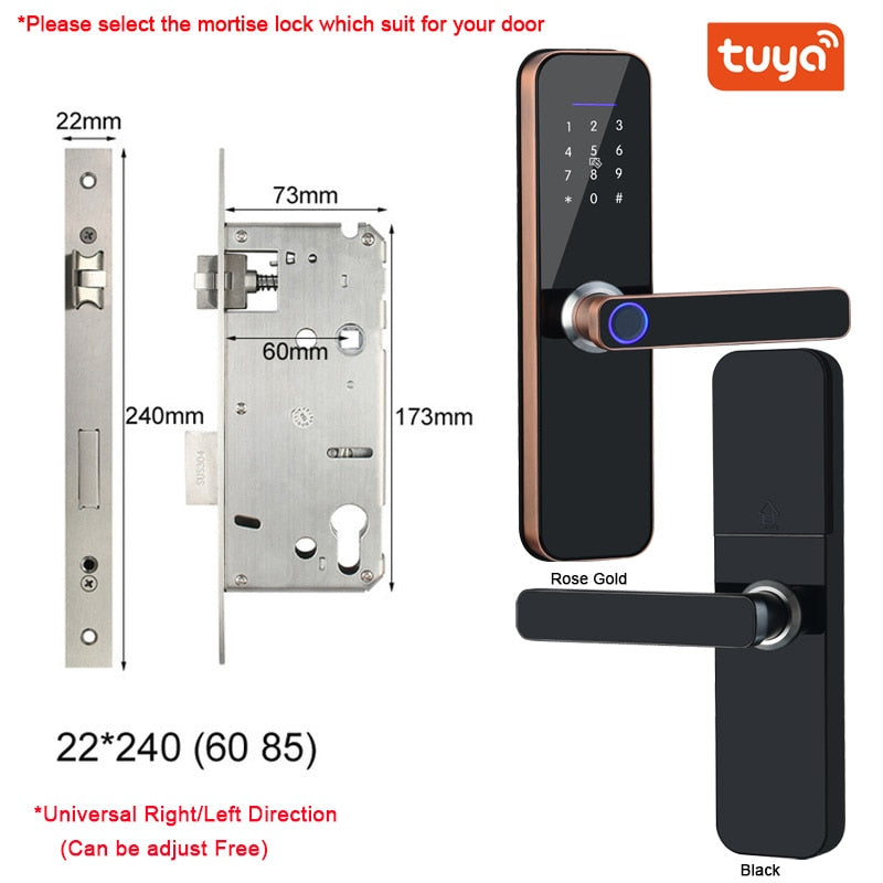 Electronic Smart Door Lock With Biometric Access