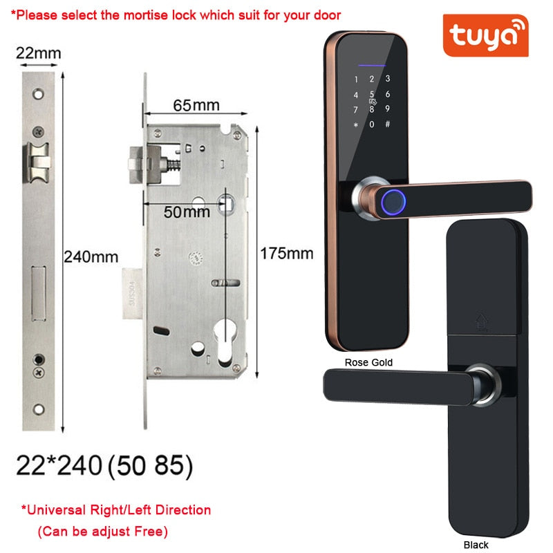 Electronic Smart Door Lock With Biometric Access