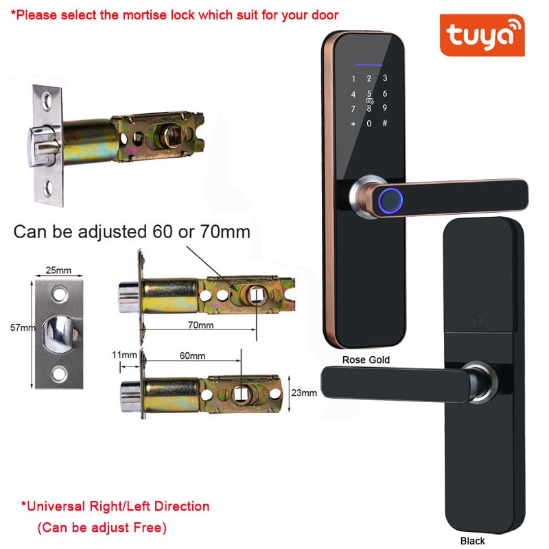 Electronic Smart Door Lock With Biometric Access