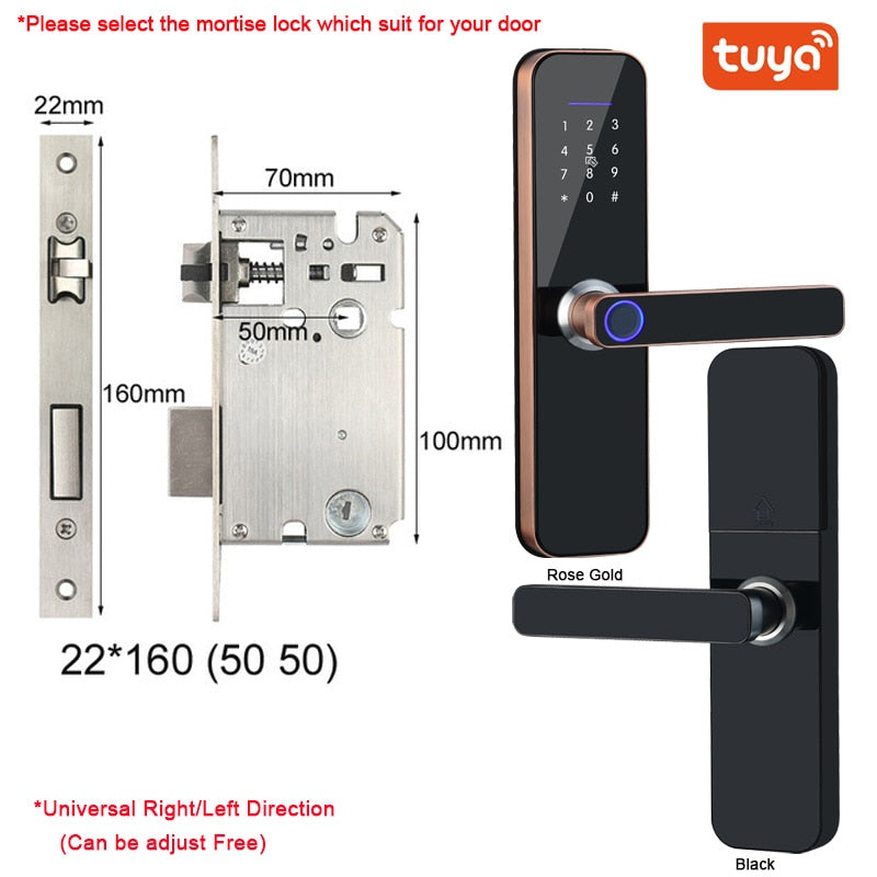 Electronic Smart Door Lock With Biometric Access