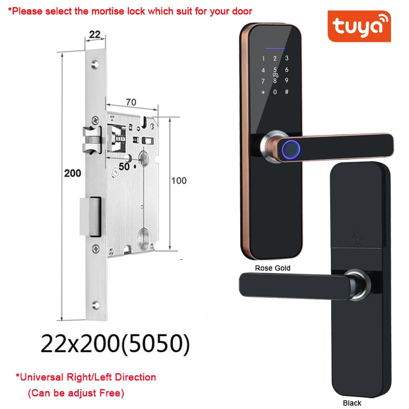 Electronic Smart Door Lock With Biometric Access