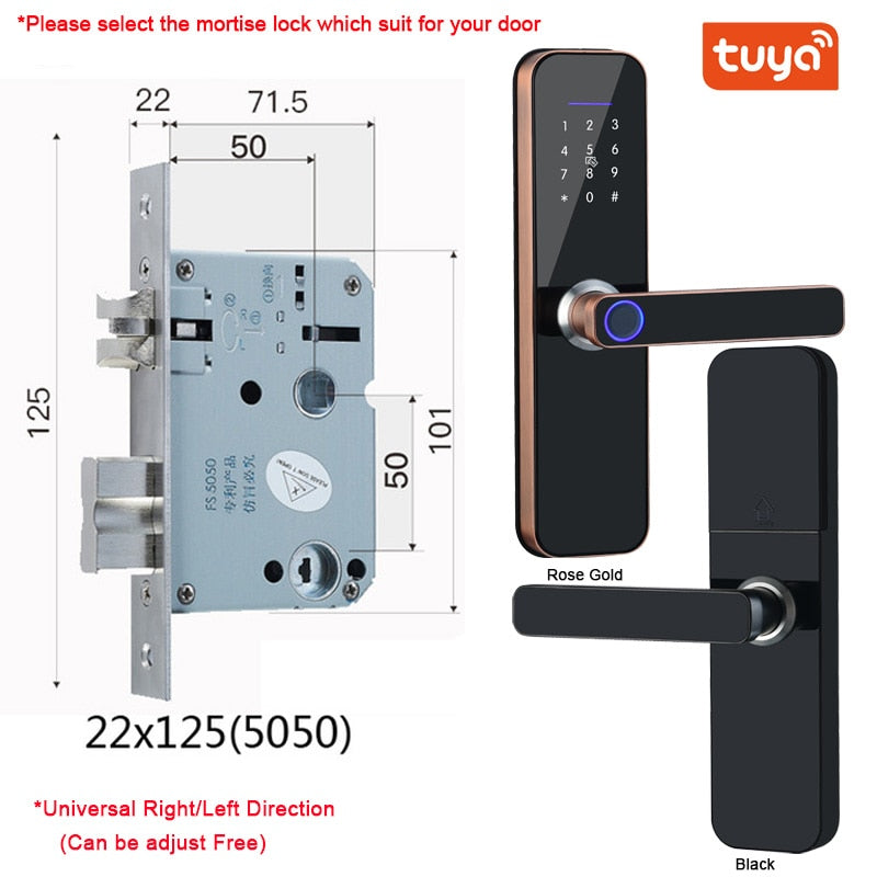 Electronic Smart Door Lock With Biometric Access