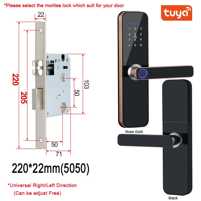 Electronic Smart Door Lock With Biometric Access